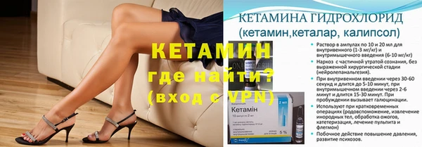 прущие грибы Богданович