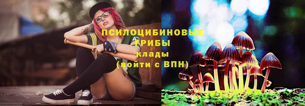 прущий лед Бородино
