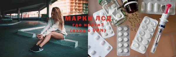 прущие грибы Богданович