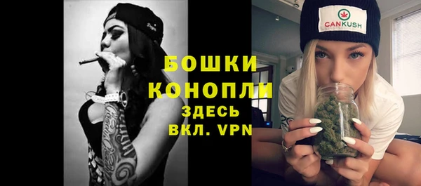 apvp Богородицк