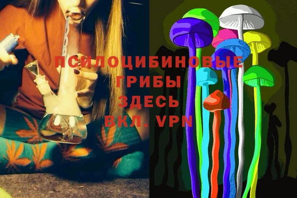 apvp Богородицк