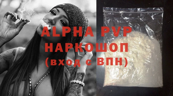прущие грибы Богданович