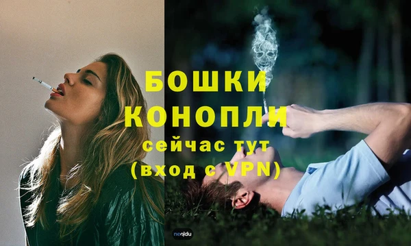 apvp Богородицк