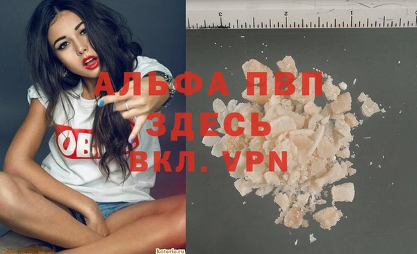 прущие грибы Богданович
