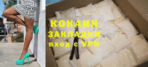 прущие грибы Богданович