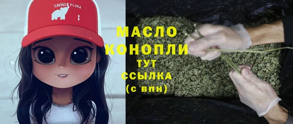 apvp Богородицк