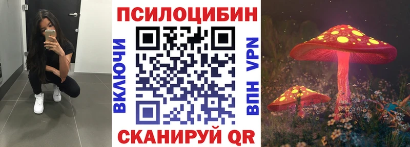 shop формула  Озёрск  Псилоцибиновые грибы ЛСД 